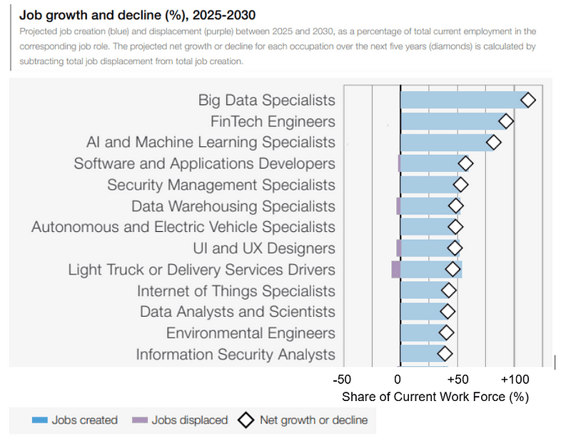 Future Job Report 2025